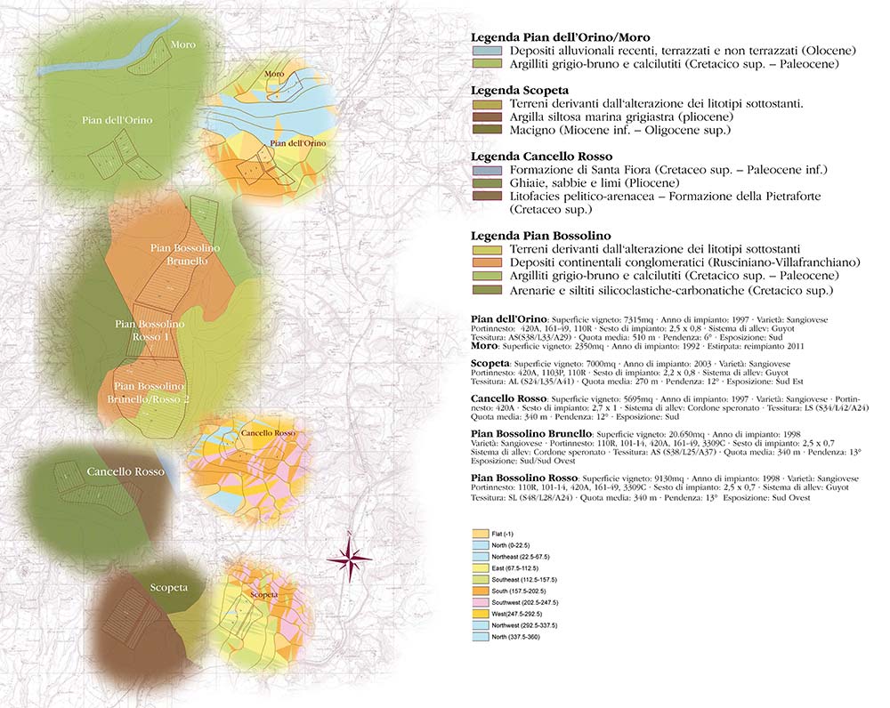 Mappa Vigne Pian dell'Orino